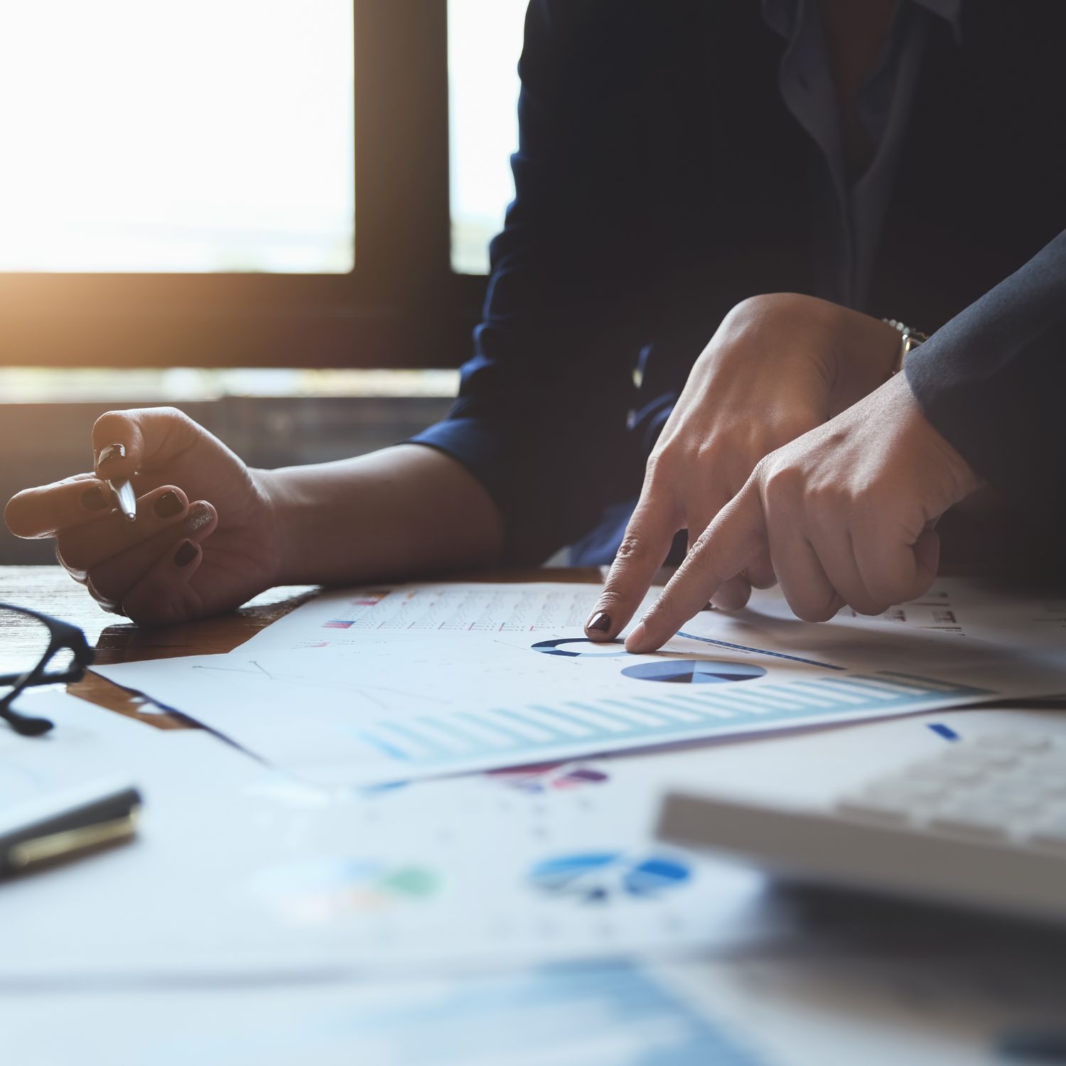 Fraud Audits and Investigations